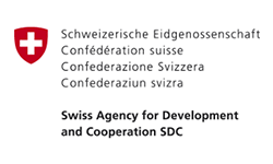 Image from the historical Geneva Health Forum website